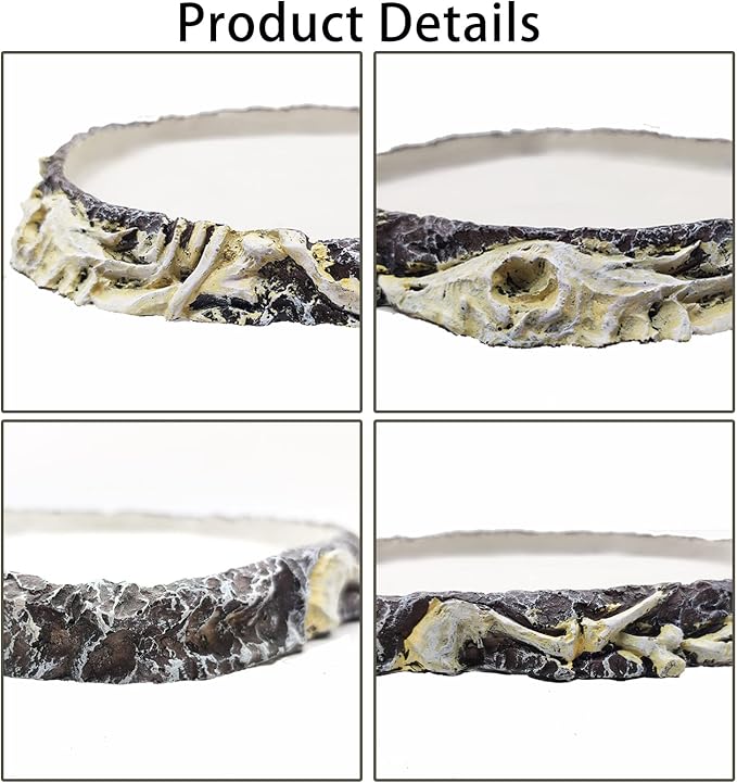 Tfwadmx 2 Pack Reptile Water Bowl, Reptile Feeding Dish, Bearded Dragon Water Dish, Turtle Feeding Bowl for Tortoises, Snakes, Lizards, Geckos, Chameleons