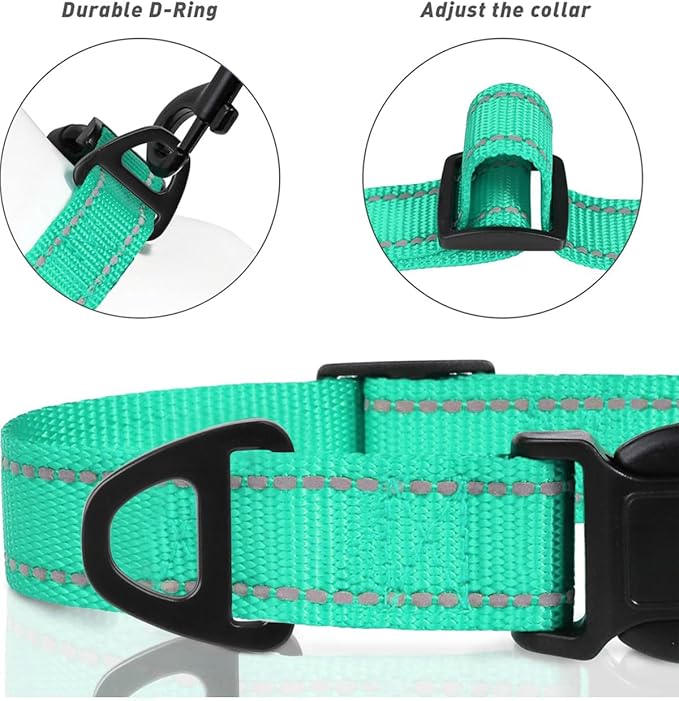 TagME Reflective Nylon Dog Collars, Adjustable Classic Pet Collar with Quick Release Buckle for Small Dogs, Turquoise, 3/4" Width