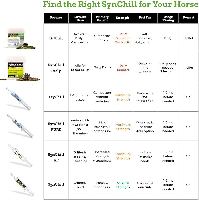 TryChill™ 12 Pack – L-Tryptophan-Based Support for Horses – Promotes a Composed Demeanor Without Sedation – Enhances Focus, Confidence & Performance – 100% Natural & Competition Safe