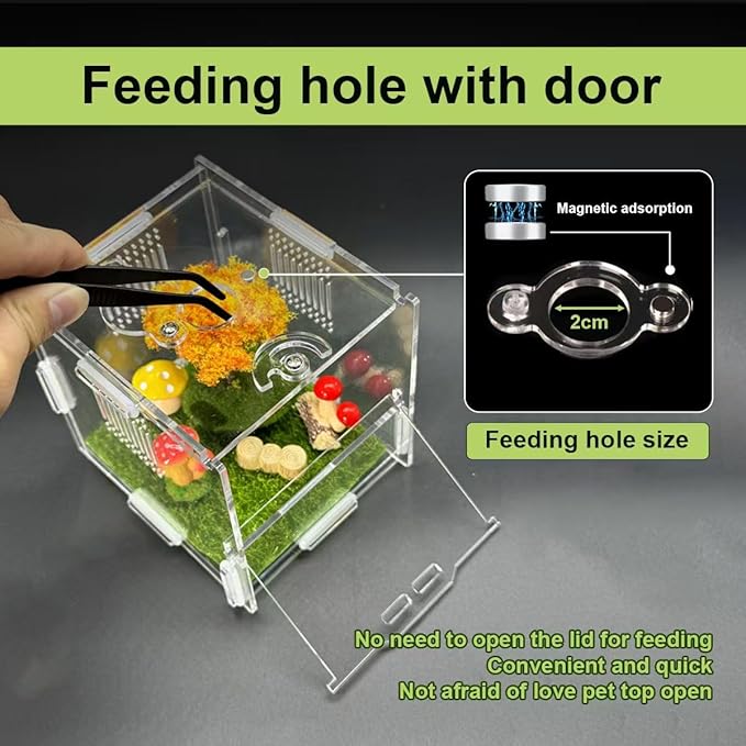 Jumping Spider Enclosure, 4" X 4" X 4" Acrylic Spider Habitat, Front Opening Small Reptile Terrarium with Matrix Ventilation Holes & Feeding Holes, for Jumping Spider Snail Insect