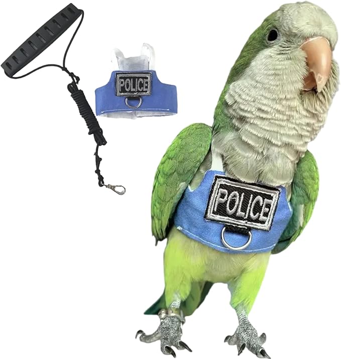 Bird Flight Harness Vest, Parrot Flight Suit with Leash, Bird Flying Clothes with Rope and Handle for Outdoor Activities (with Leash,Hahn's Macaw)