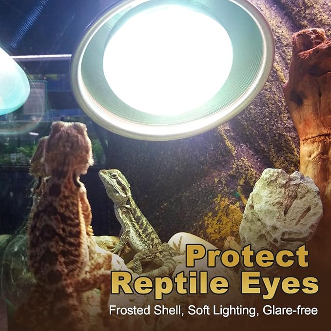 MIXJOY 100W Reptile Heat Lamp Bulbs, 2Pack Heat Lamp Bulbs for Reptiles Basking Bulbs UVA Daylight Basking Light Amphibians Heating Lamp Emitter for Lizard, Tortoise, Bearded Dragon Gecko, Chicken