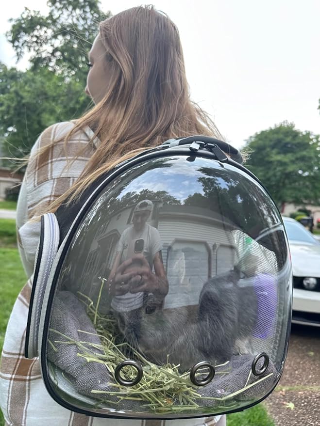 Portable Travel Backpack Habitat for Small Animal, Space Capsule Bubble Window Guinea Pig Bird Bearded Dragon Turtle Carrier Rabbit Squirrel Hamster Cage Breathable Handbag