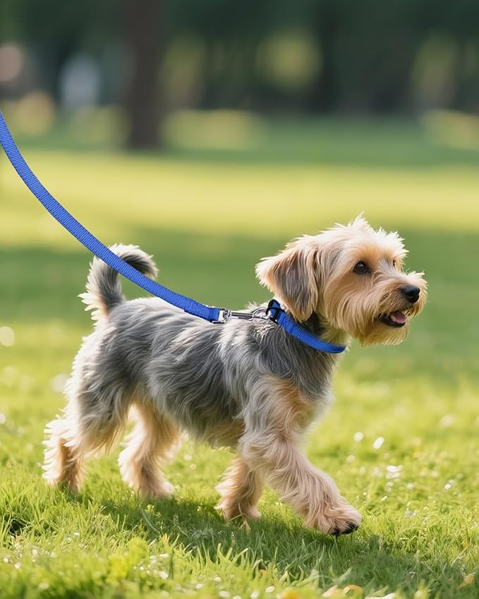 Joytale Small Dog Collar, Reflective and Adjustable Nylon Collar with Quick-Release Buckle, Lightweight No-Choke Design for Small Dogs, Navy Blue, 5/8" Width
