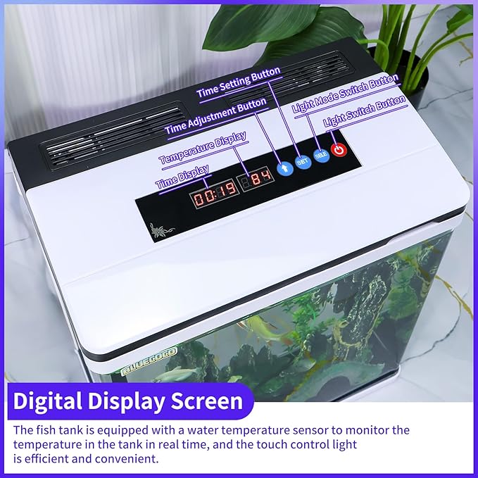 8 Gallon Fish Tank Starter Kit with Eco-Cycle Filtration, 7-Color LED Light & Air Pump. Features 360° Crystal View, Temp/Time Display, Quiet Aquarium Kit for Betta & Freshwater Fish.
