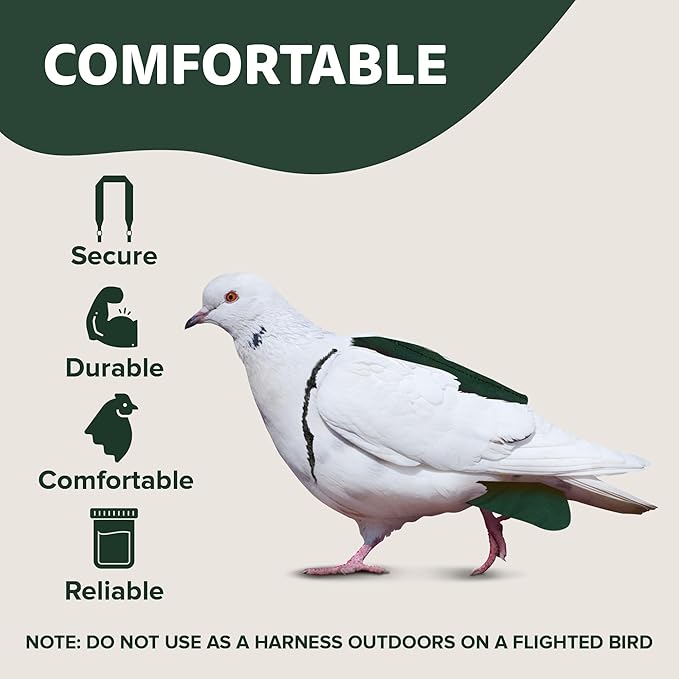 Bird Diaper, Wrap Around, for Larger Pigeons, Small Breed Hens and Roosters, Leak-Proof Design, Comfortable Fleece Strap Bird Harness with Sewn-in Liner & Secure Hook and Loop Closure - XS, Green