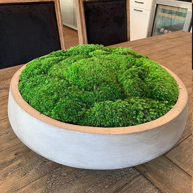 Preserved Pole Moss Pillow Bun Cushion Natural Green Decorative Real Natural Green DIY Kit Terrariums Gardenning Art Wall Decor Florist Decor Easter Table Decor Wedding(12.0 sq.ft., Green-B)