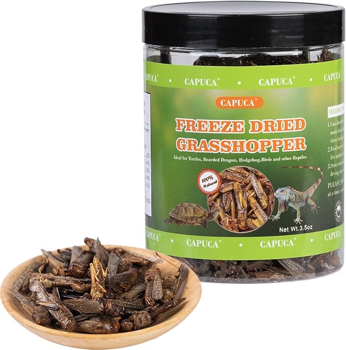 Dried Grasshoppers Reptile Food All Natural - High Protein Dried Insects Treats for Bearded Dragons Turtles Geckos Lizards Hedgehogs Chameleon Birds（3.5 OZ）
