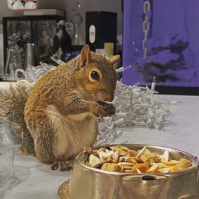 Squirrel Complete (4 lb.) - Healthy Natural Food - Nutritionally Complete Diet for Squirrels - Ground, Grey, and Flying Squirrels