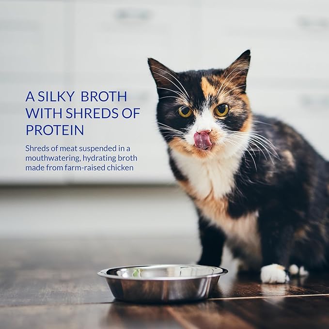 INABA Churu Broth for Cats, Side Dish Pouch, 1.4 Ounces per Pouch, 12 Pouches, Chicken Recipe
