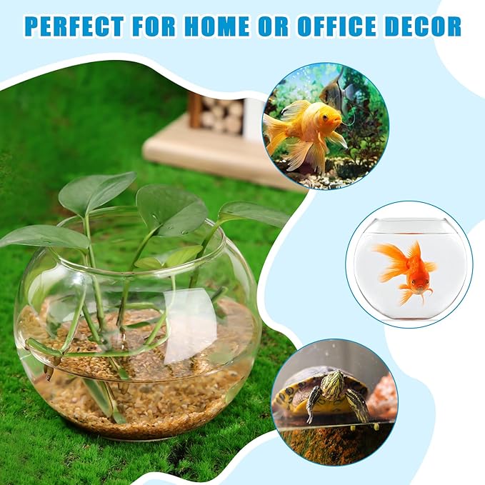 Zopeal 36 Pcs Fish Bowl Vase Glass Bubble Bowl Globe Glass Clear Bubble Vase Round Terrarium Goldfish Flower Centerpiece for Wedding Event Arrangement Office Home (3.5" h X 4.7" w)