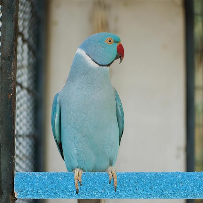 Bird Perches for Cage, 2 PCS Parrot Perch Bird Cage Perch Toy Paw Grinding Stick Cages Wooden Grinding Claw Sticks Sanded Surface Cages Toy for Parakeets Finches Parakeet Toys Birdcage Accessories