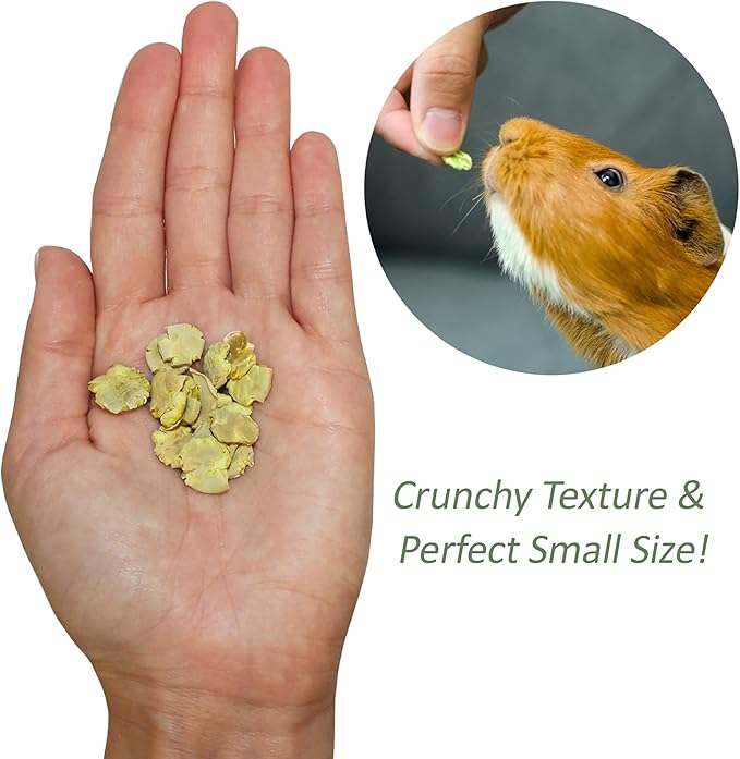 Exotic Nutrition Green Pea Flakes 3oz. - Healthy & Unique Treat - Rat, Degu, Prairie Dog, Chinchilla, Hedgehog, Parrot, Guinea Pig, Rabbit, Hamster