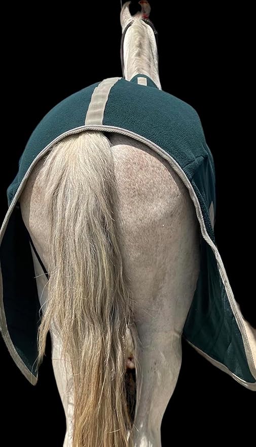 Majestic Ally Anti Pill Fleece Horse Blanket/Sheet with Silver Braided Rope (Hunter Green, 82)