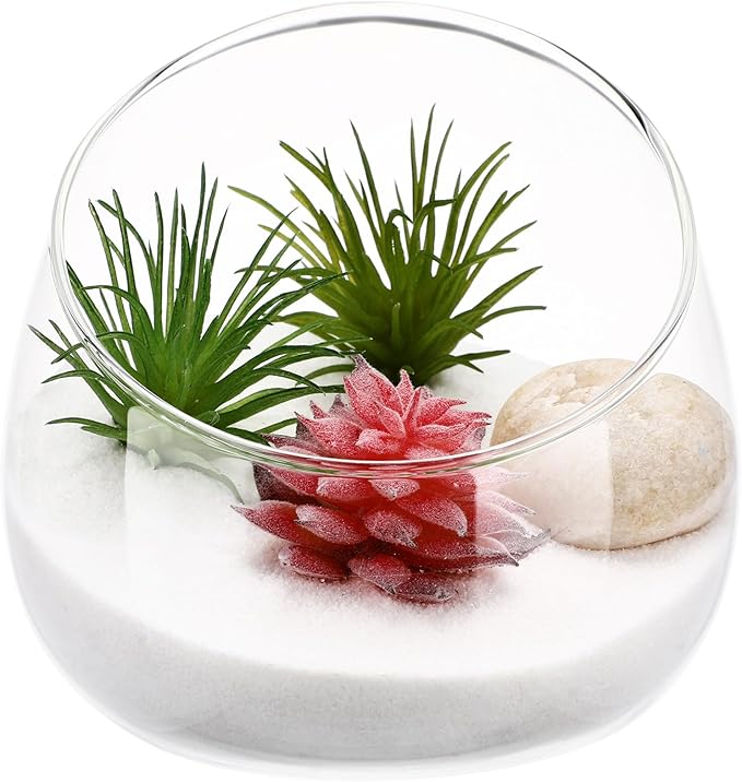 Yardwe 1PC Glass Terrarium Bowl Vase Slant Cut Bubble Bowl Glass Plant Terrarium Container Micro Landscape Planter for Succulent Plant