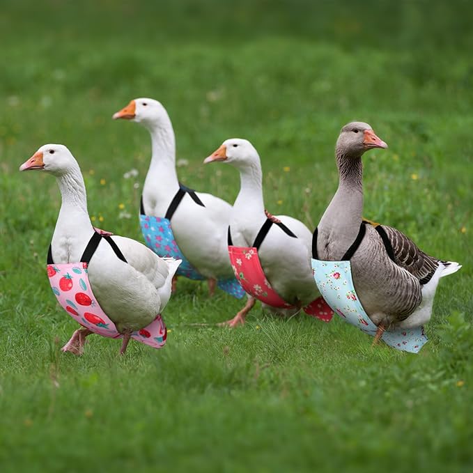 6 Pcs Chicken Diapers for Hens Rooster Ducks Reusable Washable Duck Diapers with Bow Tie for Ducklings Hens Goose Poultry Adjustable Clothes for Hen Rooster Chicken(Classic,M)