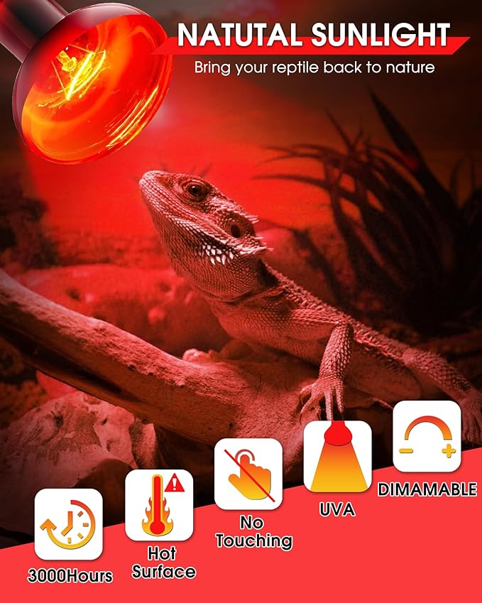 EvaStary 100W Infrared Heat Lamp Bulbs, 2 Pack UVA Reptile Basking Spot Light for Reptiles, Red Heat Lamp Bulb for Bearded Dragon,Turtle,Snake, Chickens, Pets