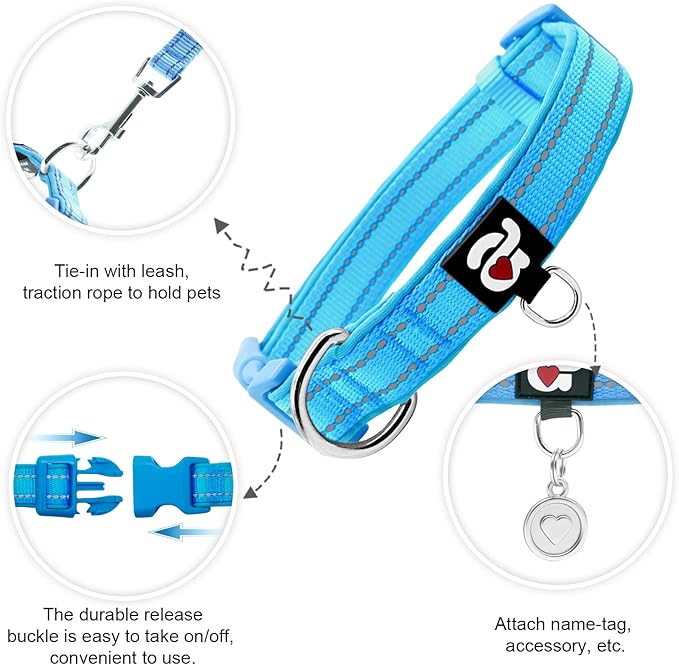 azuza Reflective Dog Collar,Soft Neoprene Padded Pet Collar with ID Tag Ring,Adjustable for Small Dogs,Sky Blue,S
