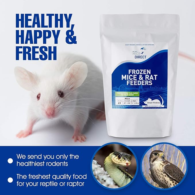 MiceDirect EST. 2003 40 Frozen Mice Weanling Feeders Snake Food for Juvenile Red Tail Boas Ball Python Adult Milk Snakes Corn Sand Boa (2-2.5 in) (520 Grams Min)