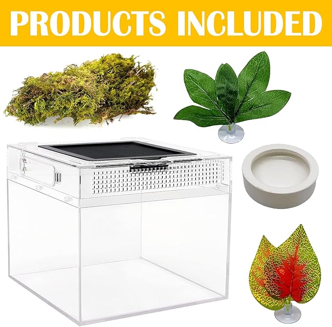 Reptile Terrarium, Jumping Spider Enclosure Starter Kit, Leopard Gecko Habitat Container, 8"x8"x7"Reptile Tank for Tarantula, Hermit Crab, Insect, Fish, Frog, Small Bearded Dragon, Lizard