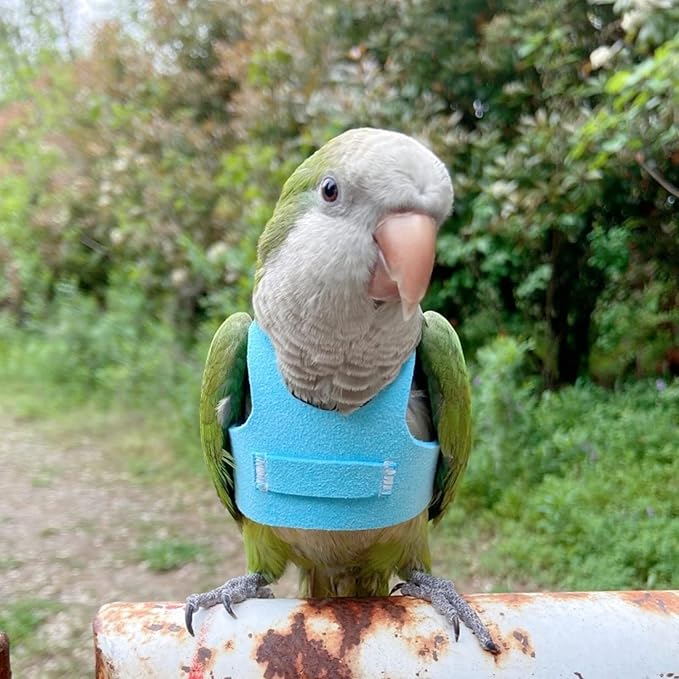 Bird Flight Harness Vest, Parrot Flight Suit with Leash for Parakeets Cockatiels Conures Budgies, Bird Flying Clothes with Rope and Handle for Outdoor Activities Training (L, Blue)