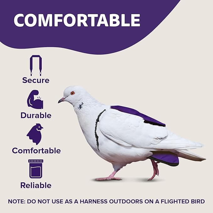 Bird Diaper, Wrap Around, for Larger Pigeons, Small Breed Hens and Roosters, Leak-Proof Design, Comfortable Fleece Strap Bird Harness with Sewn-in Liner & Secure Hook and Loop Closure - XS,Purple