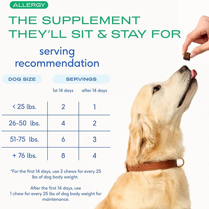 Native Pet Dog Allergy Chews - Dog Allergy Relief with Probiotics and Colostrum for Itchy Skin Relief to Support Seasonal Allergy and Healthy Immune System - All Natural Anti-Histamine - 90 Chews