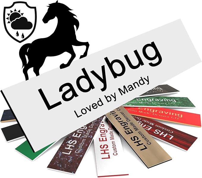 Personalized Horse Stall Name Plates, 2x10 Horse Stall Signs with Adhesive, All Weather UV Protected, White Plastic Black Letters - Made in USA - B16