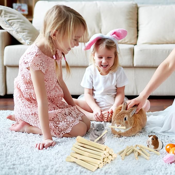 500g Sweet Bamboo Chew Sticks Natural Rabbit Guinea Pig Chinchilla Chews Sticks Toys for Teeth Bunny Molar Treats Chinchilla Guinea Pig Hamster Small Animals