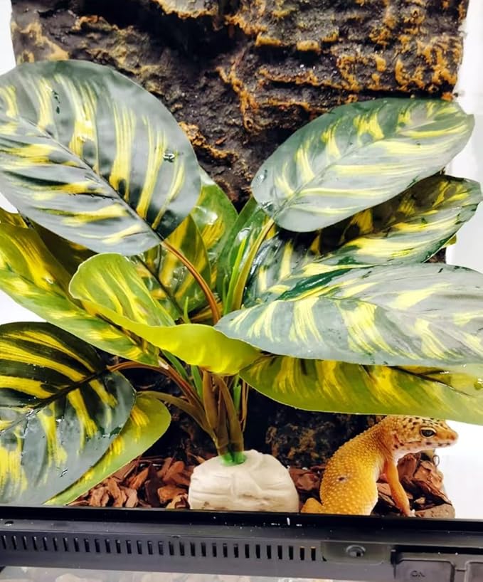 Reptile Terrarium Decor Plants,Amphibian Habitat Decor,Fake Plants for Bearded DragonTank Accessories fit Leopard Gecko Lizard Chameleon Snake Tortoise (Calathea makoyana -C)