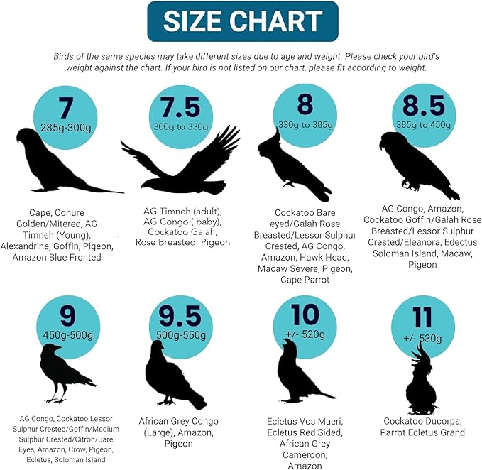 Bev's Bird Boutique Regular Flyper Adjustable Bird Diaper | Reusable, Washable Cloth | Comfort Fit for Parrot, Cockatiels, & Other Small Birds | Fashionable Avian Accessories, Pirate, Size 8