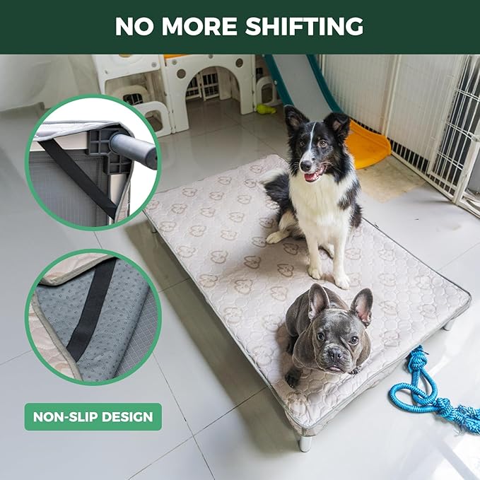 FXW TitanNest Chew-Proof Elevated Dog Bed, Raised Cot for Indoor/Outdoor/Camping Use, Durable & Waterproof Cooling Pet Bed with Exclusive Cover for Large Dogs, 47.0" L x 29.0" W x 7.3" H, Black