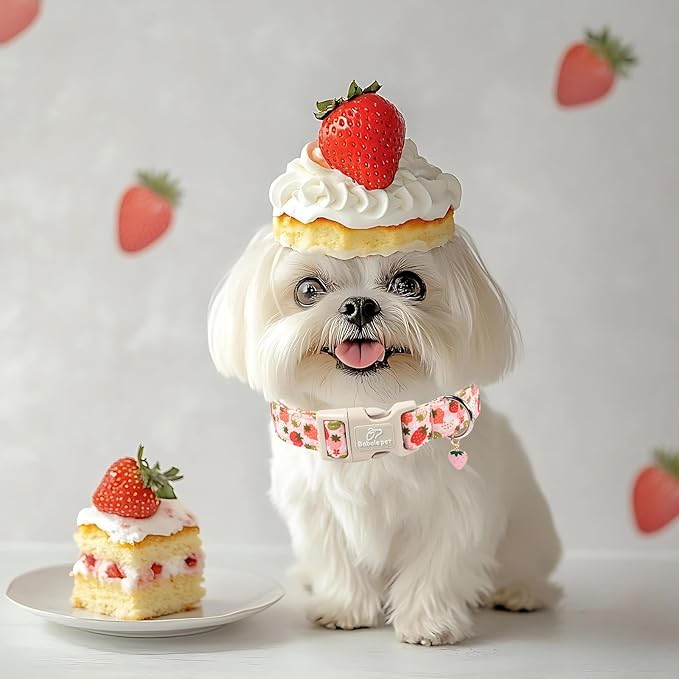 Strawberry Dog Collar for Small Dogs - Cute Spring Pink Dog Collars, Summer Pastel Puppy Collars, Soft Adjustable Boy Girl Dogs Collar with Quick-Release Buckle S