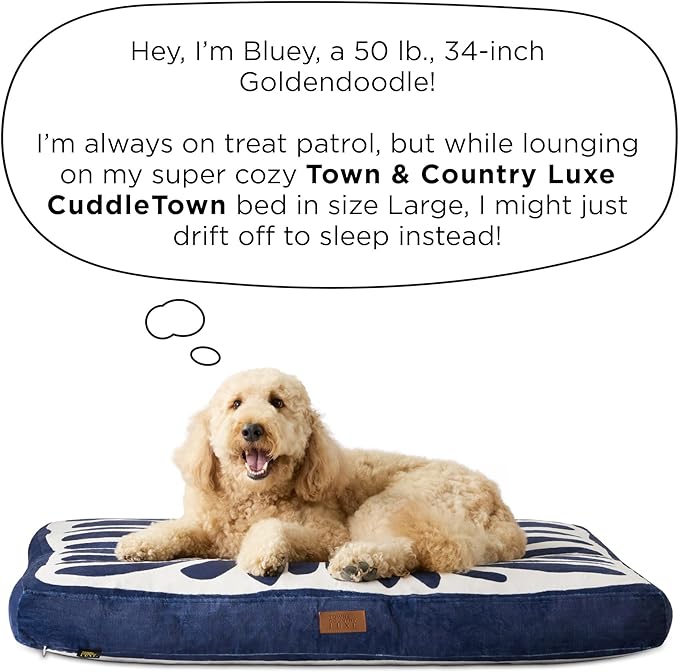 TOWN & COUNTRY LUXE CuddleTown Matisse Everwash® Pillow Pet Bed, Water Repellent Floor Pillow, Machine Washable Cover, Soft & Calming, Navy Blue, Large 44"x34"x4"