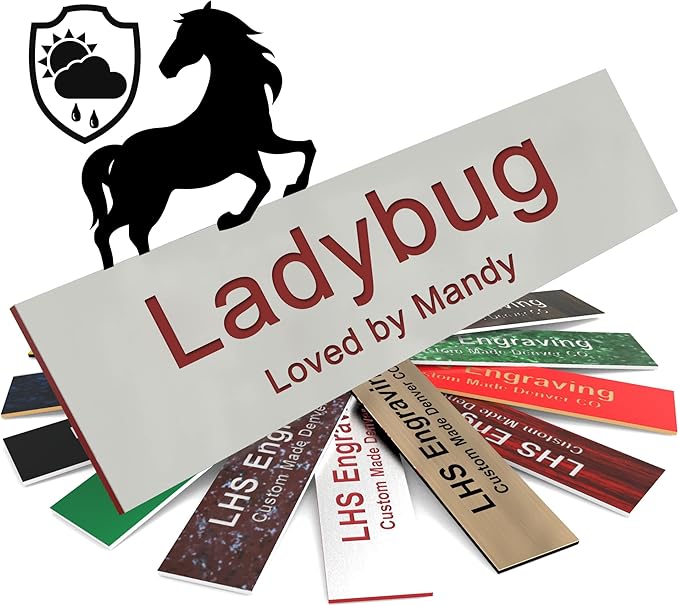 Horse Stall Name Plate, 2x12 Personalized Stall Signs, UV Protected, All Weather Adhesive, Hanging, Mounting or Other, Gray Plastic with Maroon Letters - Made in USA - B21