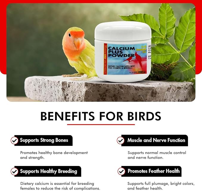 Morning Bird Calcium Plus Powder for Birds 4.5 oz – Calcium Supplement with Vitamin & Protein Powder – Supports Bone Health, Muscle Function & Digestive Balance – Easy-to-Mix Calcium Formula