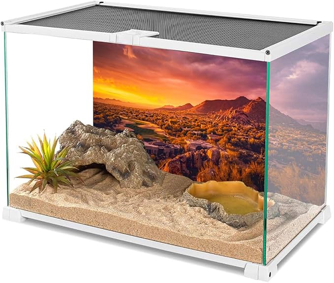 AWERT 36x20 inches Sun and Desert Terrarium Background Mountain Oasis Gobi Reptile Habitat Background Vinyl