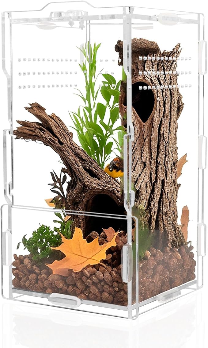 4x4x8 Inch Acrylic Reptile Terrarium，Front Opening Tarantula Enclosure with Swivel Lock & Magnetic Feeding Door，Small Spider Cage for Jumping Spider、Scorpion、Isopods、Snails