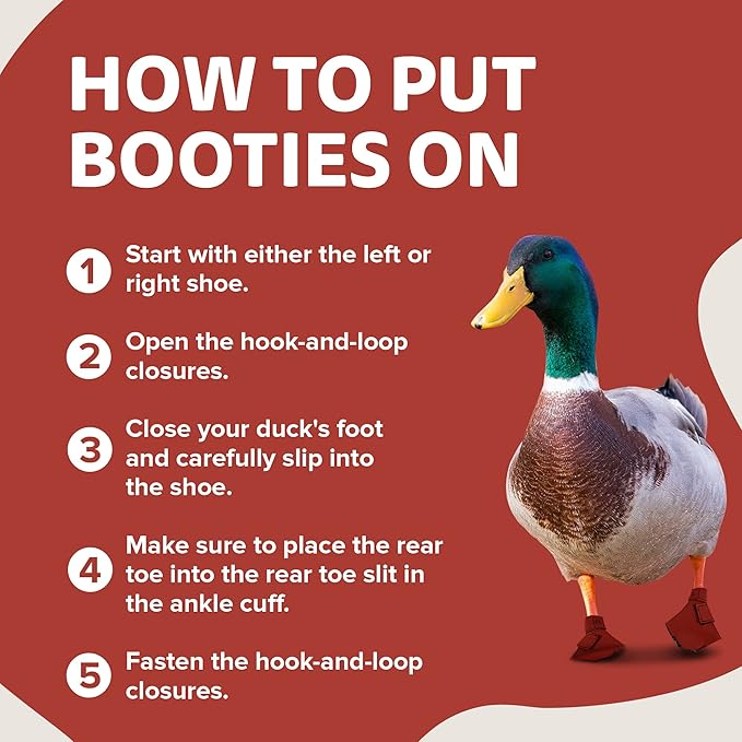 Duck Shoes for Injured Feet – Protective Neoprene Footwear for Ducks, Protective Shoes for Birds with Injured feet, Bumblefoot Relief - Medium, 3.5” Max. Inside Width - Red