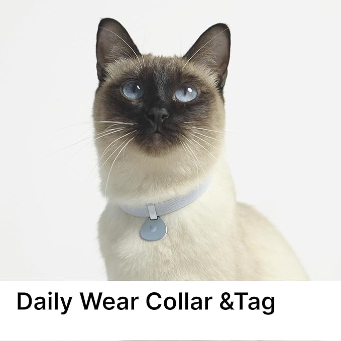 Safety Cat Collar and ID Tag Set, Elastic Quick Release Non Breakaway Collar, Personalized Aluminum Engraved Pet Name Tag, Lightweight for Kitten Small Large Cats (Midnight Black-M, Pocket)