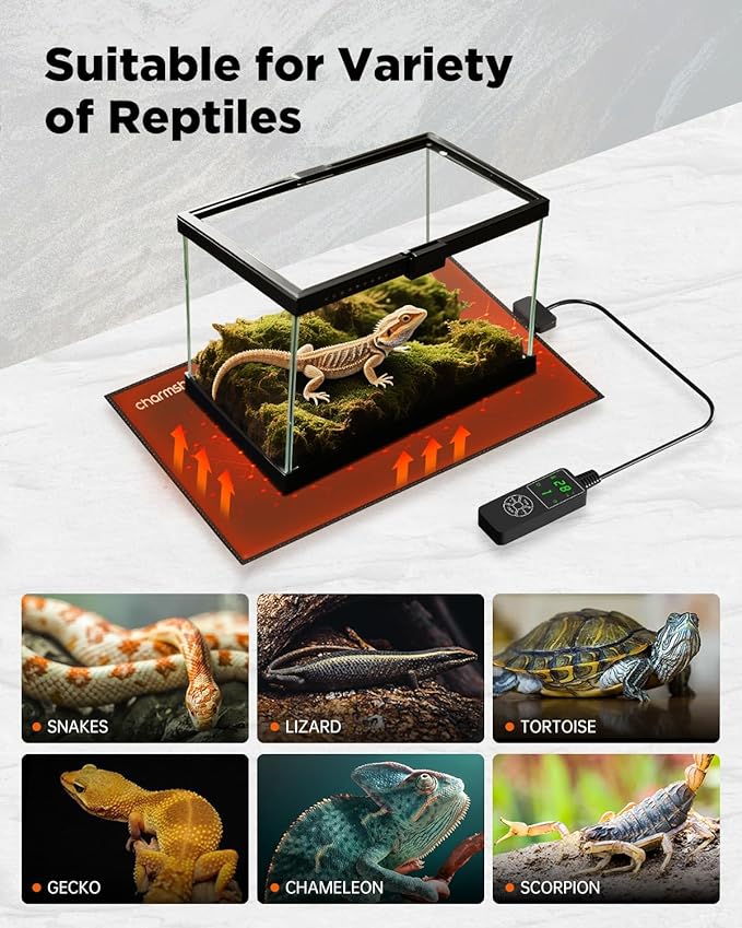 8 by 12-inch 16W Reptile Heating Pad Graphene with Temperature Control Reptile Tank Heat Pad Terrarium Under Tank Heater Mat for Snake Lizard Hermit Crab Reptiles Turtle Thermostat