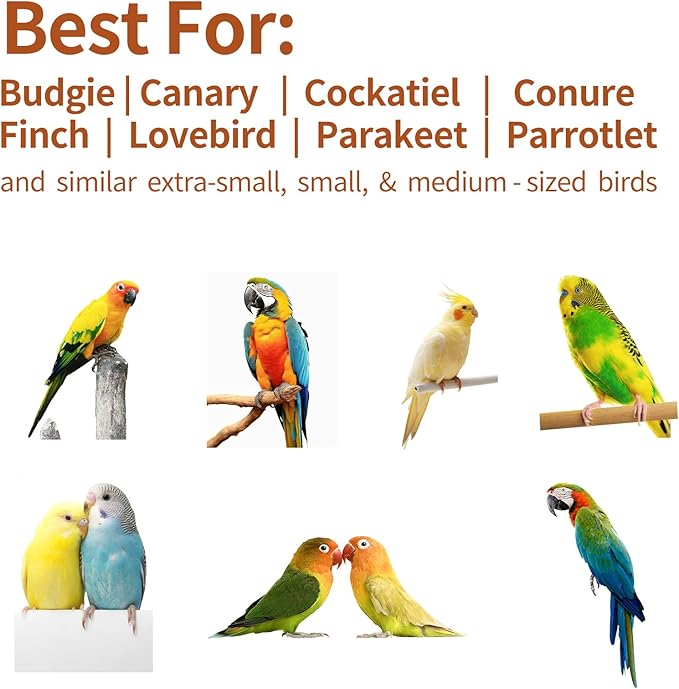 Bird Stand Perch Toy,Parrot 360° Interactive Rotating Toy,Bird Stand Perch Toy for Small Medium Birds,Wooden Stand for Parakeets Cockatiels Lovebirds Conures Finches Budgies
