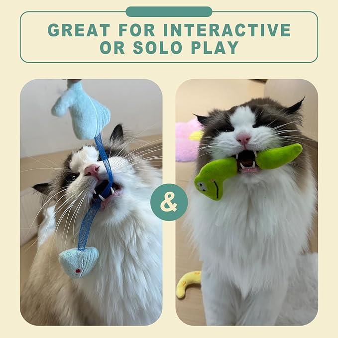 Interactive Cat Toys Set, Silvervine Chew Sticks and Cat Spring Toy, Indoor Catnip Toys for Exercise and Dental Care, for Adult Cats and Kittens (10 Packs)