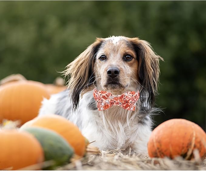 Halloween Dog Collar, Pet Collar Bow Pumpkin Pet Collar Girl Boy Holiday Pet Collars Gift Bow Dog Collar Cute Soft Puppy Collar for X-Large Dogs