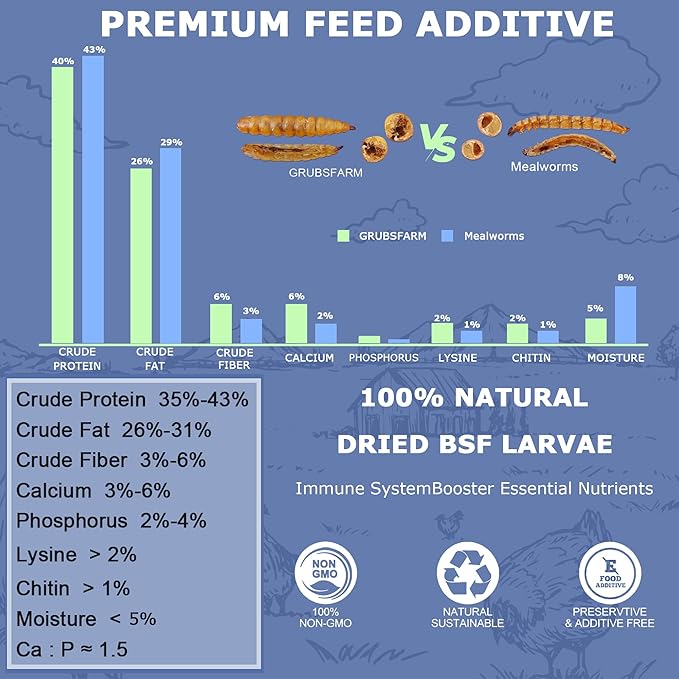 Premium Chicken Treats 2LB - Non-GMO & 85X More Calcium Than Meal Worms - Molting & Laying Supplement - BSF Larvae Treats for Layer Hens, Ducks Wild Birds