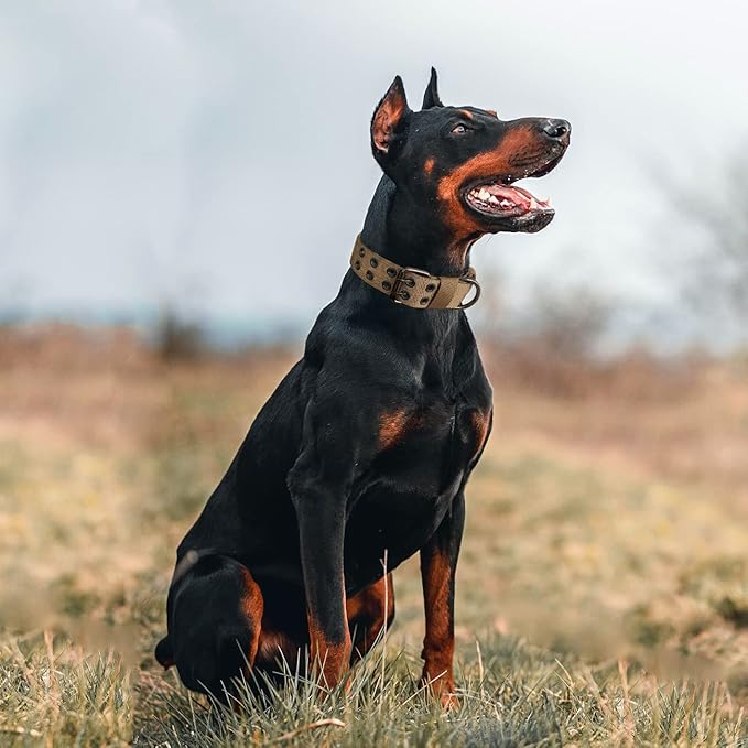 Tactical Dog Collar Military Adjustable Dog Collars Soft Nylon Training Collar with Patch Heavy Duty Metal Buckle Collars for Medium Large Dogs (Brown, M)