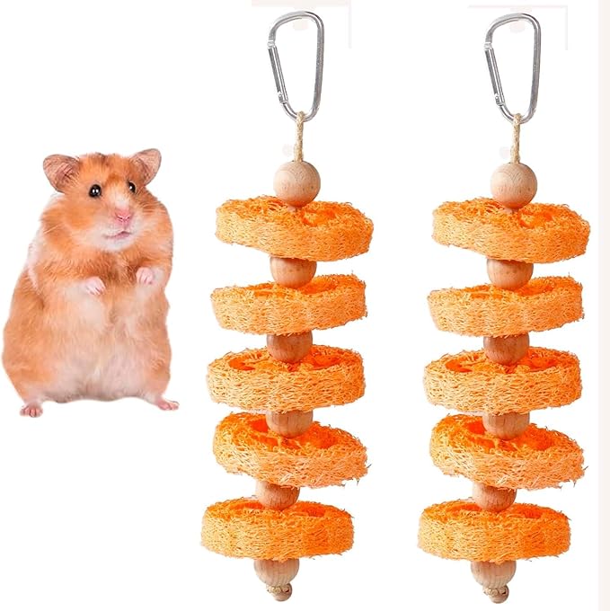 2PCS Fruit Flavor Loofah Chew Toys Guinea Pig Chew Toys for Teeth Rabbit Toys Guinea Pig Toys (Orange)