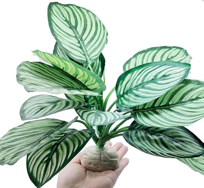 Reptile Terrarium Decor,Amphibian Habitat Decor,Artificial Plants for Crested Gecko Tank Accessories Suitable for Leopard Gecko Bearded Dragon Lizard Chameleon Snake Tortoise (Calathea makoyana-D)