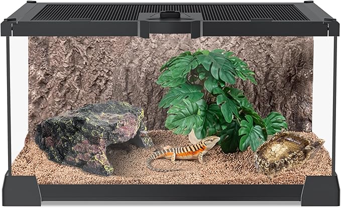 Reptile Terrariums Mini Glass Tank 12" x 8" x 6" Habitat, Top-Opening Mesh Lid with Latch, 360° Clear View, Ventilated Enclosure for Jumping Spiders, Tarantulas, Isopods & Froglets