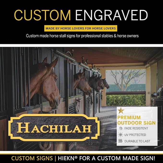 Acrylic Horse Stall Name Plate, 2.4" x 8" Personalized Stall Signs, UV Protected, Custom Pet Name Sign, All Weather Adhesive, Mounting (Gold, Style 2)